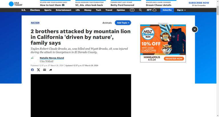 2 brothers attacked by mountain lion in California ‘driven by nature’, family says
