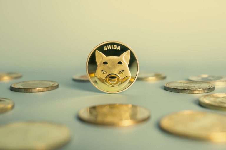 The Cryptocurrency ‘It’ Factor: What Makes a Coin Explode Like Shiba Inu