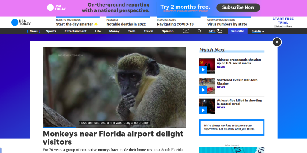 Monkeys near Florida