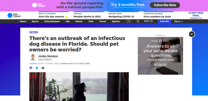 outbreak of an infectious dog disease