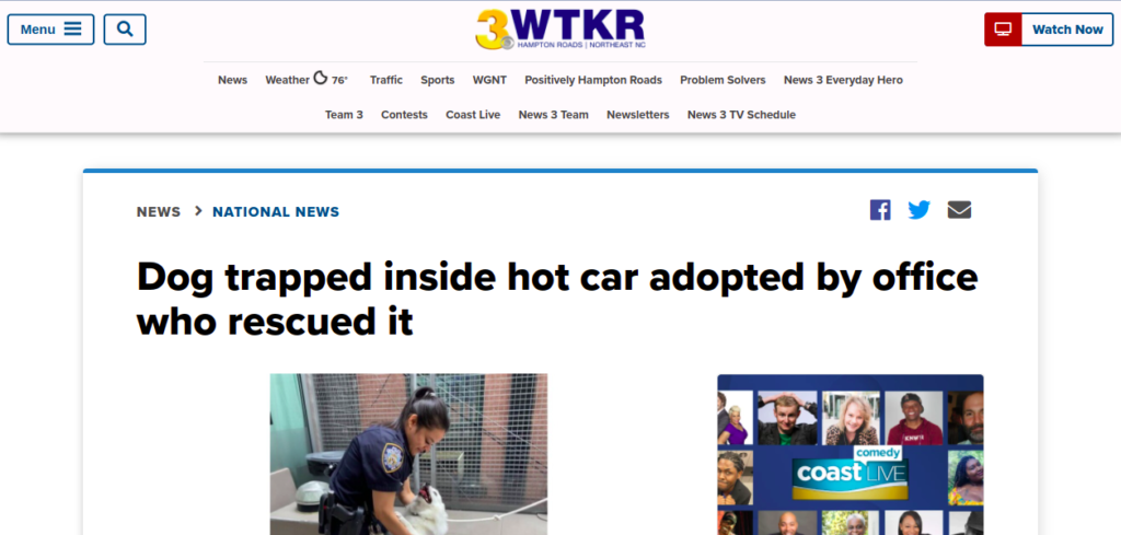 Dog trapped inside hot car