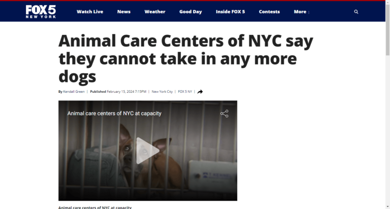 Animal Care Centers of NYC say they cannot take in any more dogs