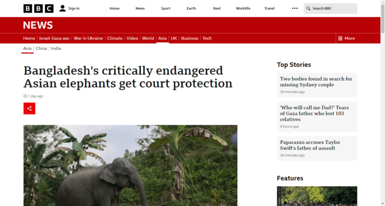 Bangladesh’s critically endangered Asian elephants get court protection