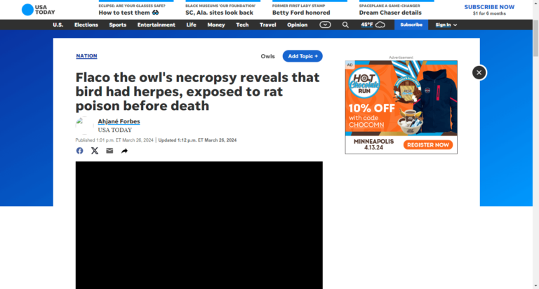 Flaco the owl’s necropsy reveals that bird had herpes, exposed to rat poison before death