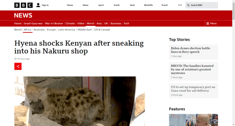 Hyena shocks Kenyan after sneaking into his Nakuru shop