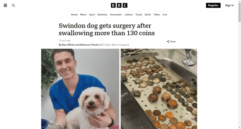 Swindon dog gets surgery after swallowing more than 130 coins